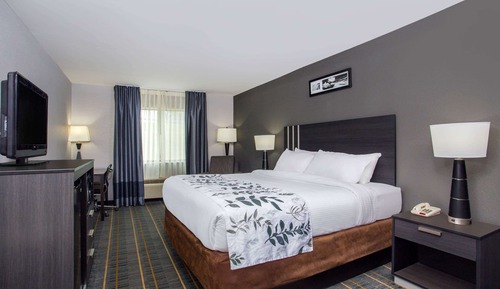 Habitación estándar, 1 cama de matrimonio grande