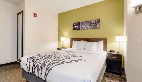 Habitación, 1 cama de matrimonio grande, accesible para personas con discapacidad, no fumadores
