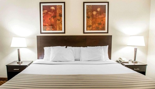 Habitación estándar, 1 cama de matrimonio grande, no fumadores