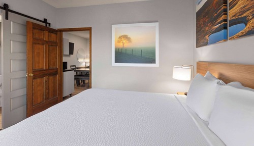 Suite, 1 cama de matrimonio grande, no fumadores (One-Bedroom)