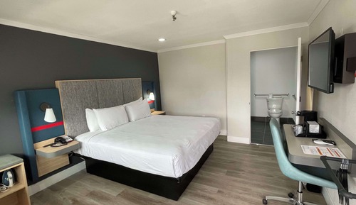 Habitación estándar, 1 cama de matrimonio grande, no fumadores, frigorífico y microondas