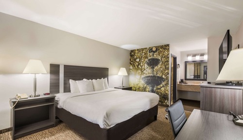 Habitación estándar, 1 cama de matrimonio grande, no fumadores