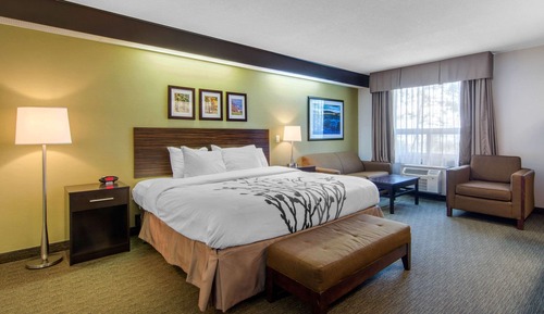 Upgrade Room, King Bed with Sofabed, Non Smoking