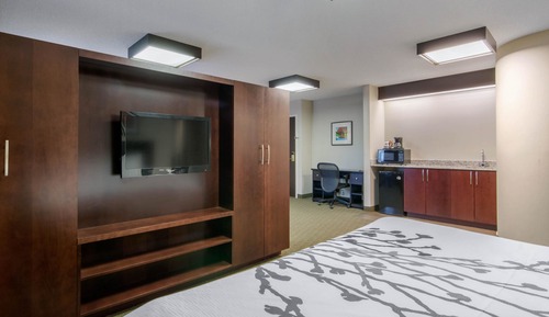 Suite, 1 cama de matrimonio grande con sofá cama, no fumadores