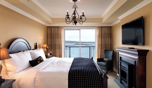 Habitación, 1 cama de matrimonio grande con sofá cama, cocina básica, vistas al mar