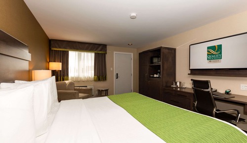 Habitación estándar, 1 cama de matrimonio grande, no fumadores