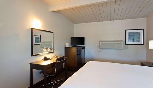 Habitación estándar, 1 cama de matrimonio grande