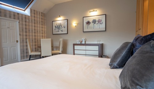 Suite ejecutiva, 1 cama doble