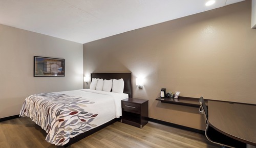 Habitación superior, 1 cama de matrimonio grande (Smoke Free)