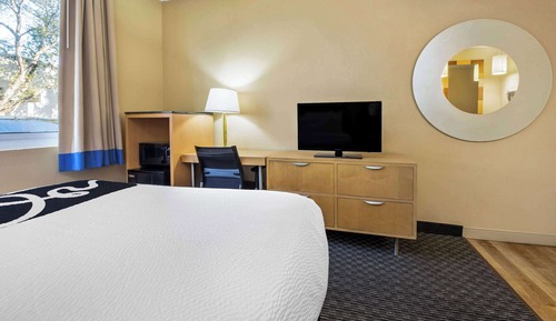 Suite estudio, 1 cama de matrimonio grande, no fumadores