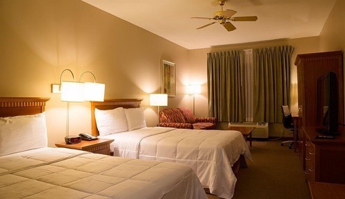 Suite ejecutiva (2 Double Beds and Sofa Bed)