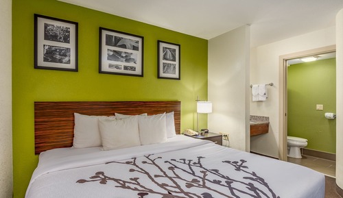 Habitación estándar, 1 cama de matrimonio grande, no fumadores