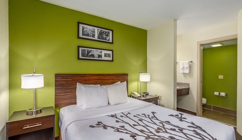 Habitación estándar, 1 cama de matrimonio, no fumadores