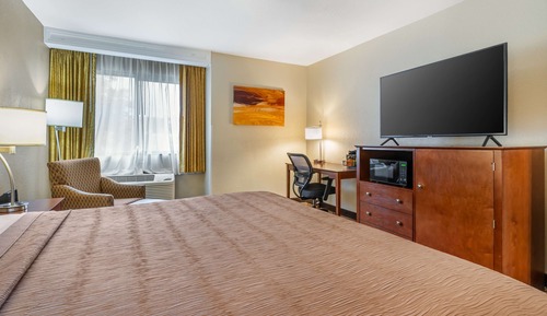 Habitación estándar, 1 cama de matrimonio grande, no fumadores, frigorífico y microondas