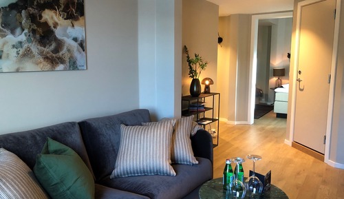 Suite estudio junior