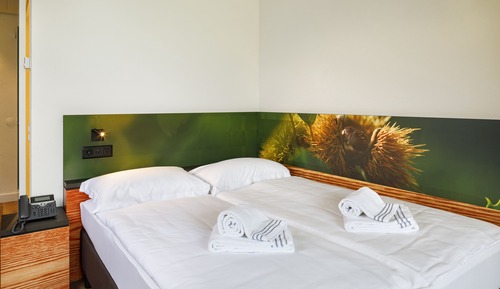Habitación, 1 cama de matrimonio, accesible para personas con discapacidad