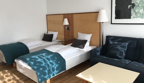 Nordic Room plus sleeping sofa