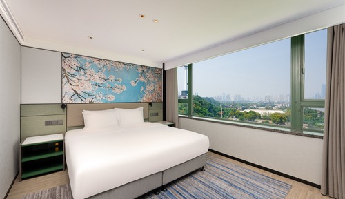 Suite, 1 cama de matrimonio grande con sofá cama