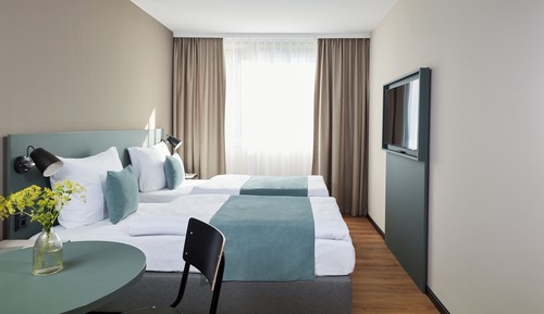 Habitación Deluxe con 2 camas individuales
