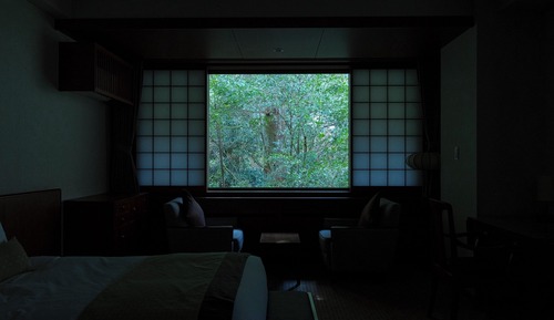 Habitación estándar con 2 camas individuales, no fumadores (Japanese cuisine dinner, at 8pm)