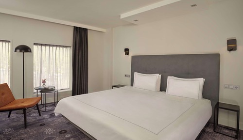 Habitación ejecutiva, 1 cama de matrimonio grande