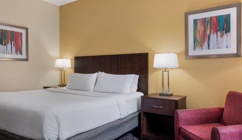 Habitación estándar, 1 cama de matrimonio grande con sofá cama