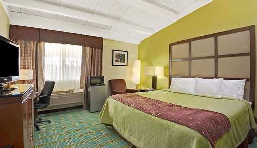 Habitación estándar, 1 cama de matrimonio grande