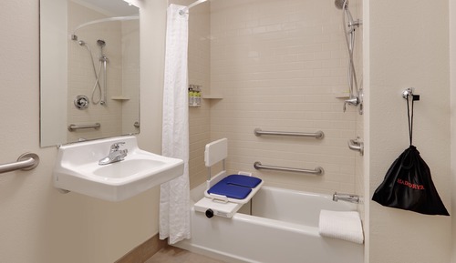 Suite, 1 cama de matrimonio, accesible para personas con discapacidad (Mobility Transfer Shower)