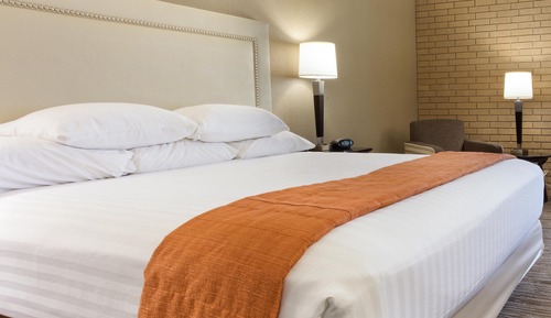 Habitación Deluxe, 1 cama de matrimonio grande con sofá cama, frigorífico y microondas (Upper Floor)