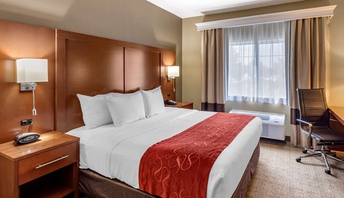 Suite, 1 cama de matrimonio grande, no fumadores