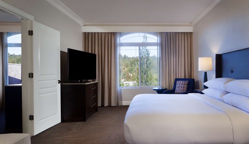 Suite, 1 cama de matrimonio grande con sofá cama