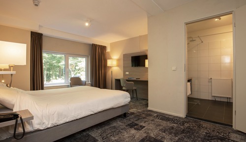 Habitación Confort doble, vistas al jardín