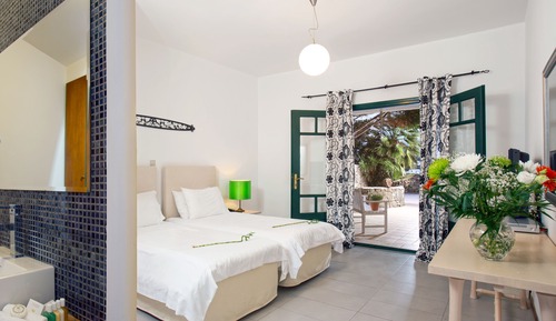 Habitación clásica con 1 cama doble o 2 individuales, vistas al jardín