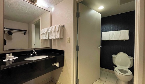 Habitación estándar, 1 cama de matrimonio grande (Mobility/Hearing Access, Roll-In Shwr)