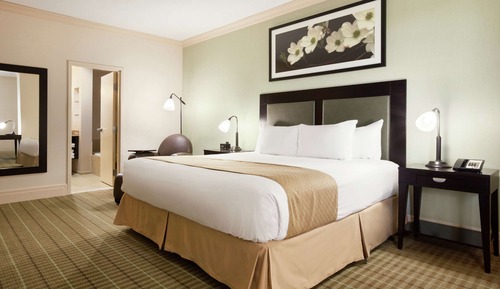 Suite Deluxe, 1 cama de matrimonio grande, no fumadores