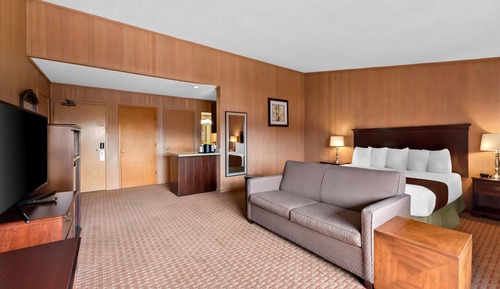 Habitación estándar, 1 cama de matrimonio grande, no fumadores (Larger Room;with Sofabed)