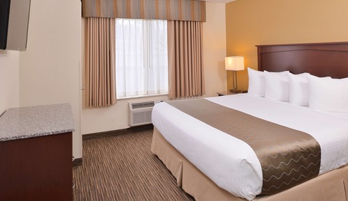 Suite, 1 cama de matrimonio grande, no fumadores, frigorífico y microondas (Pet Friendly)