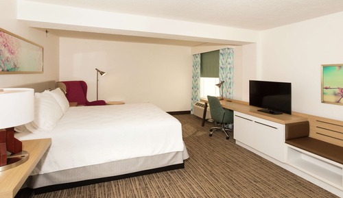 Junior Suite, 1 King Bed with Sofa Bed