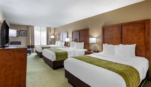 Suite, varias camas, no fumadores