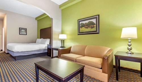 Habitación estándar, 1 cama de matrimonio grande con sofá cama, no fumadores