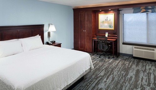 Habitación, 1 cama de matrimonio grande con sofá cama, frigorífico y microondas