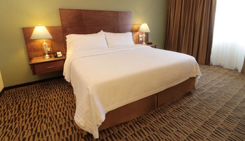 Habitación Premium, 1 cama de matrimonio grande