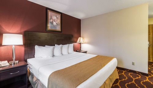 Habitación estándar, 1 cama de matrimonio grande, no fumadores