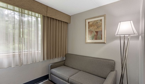 Habitación estándar, 1 cama de matrimonio grande con sofá cama, no fumadores (with Sofabed)
