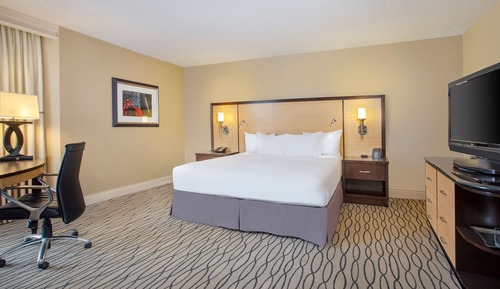 Suite presidencial, 1 cama de matrimonio grande