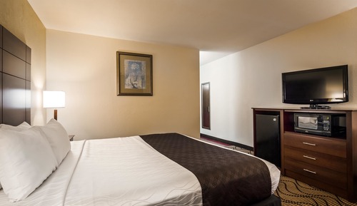 Habitación estándar, 1 cama de matrimonio grande, no fumadores, microondas