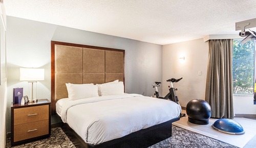 Habitación, 1 cama de matrimonio grande (Fitness)
