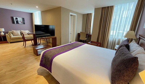 Suite ejecutiva, 1 cama de matrimonio