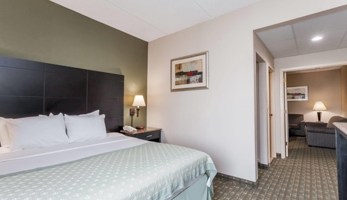 Suite, 1 cama de matrimonio grande, no fumadores (One-Bedroom)