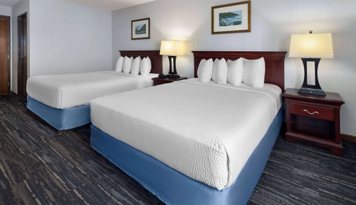 Suite estudio, varias camas, no fumadores